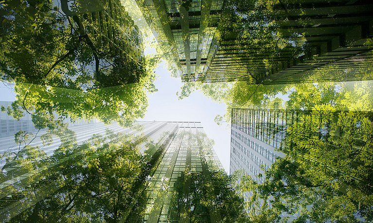 Weiterbildung Nachhaltigkeit
